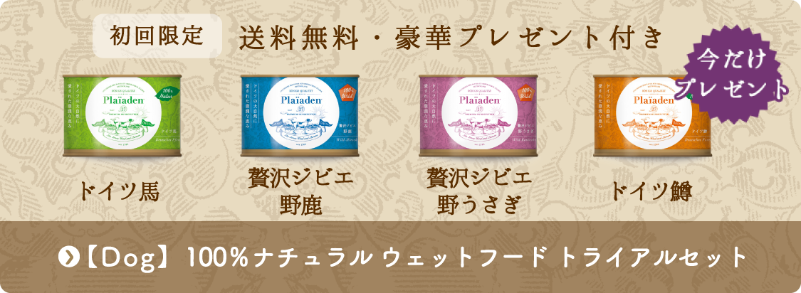 ドッグ|100%ナチュラル ウェットフード数量限定トライアルセット