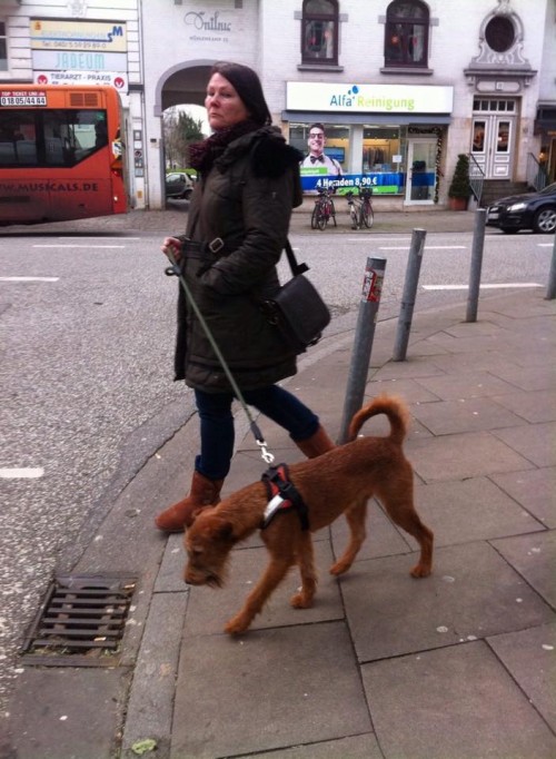 道を渡ろうとしている女性と犬