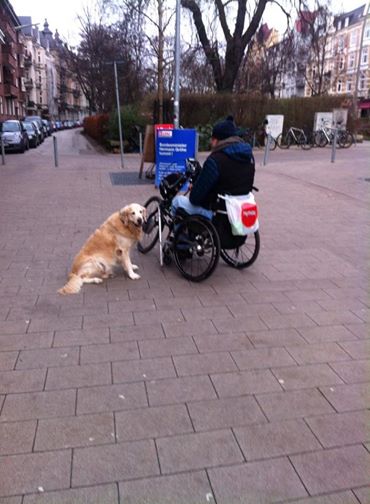 車椅子の側にいる犬