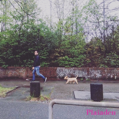 街を散歩する犬と飼い主